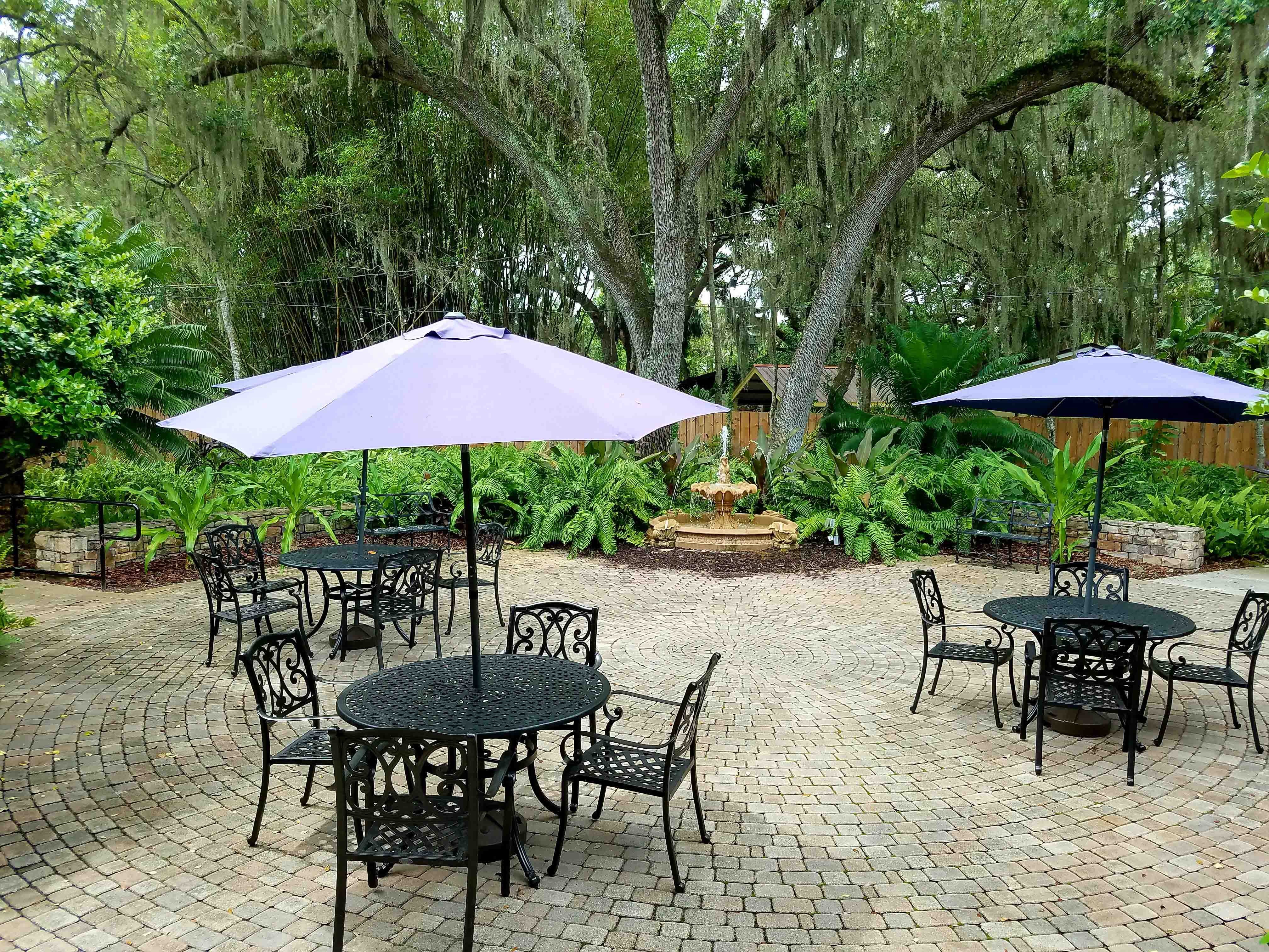 Rocky Creek, Tampa - (see pics & AVAIL)