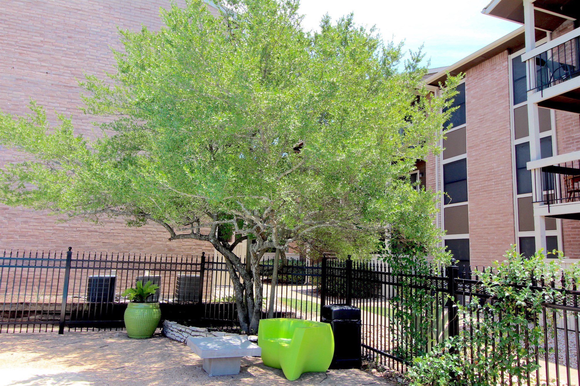 Mueller Flats, Austin (see pics & AVAIL)