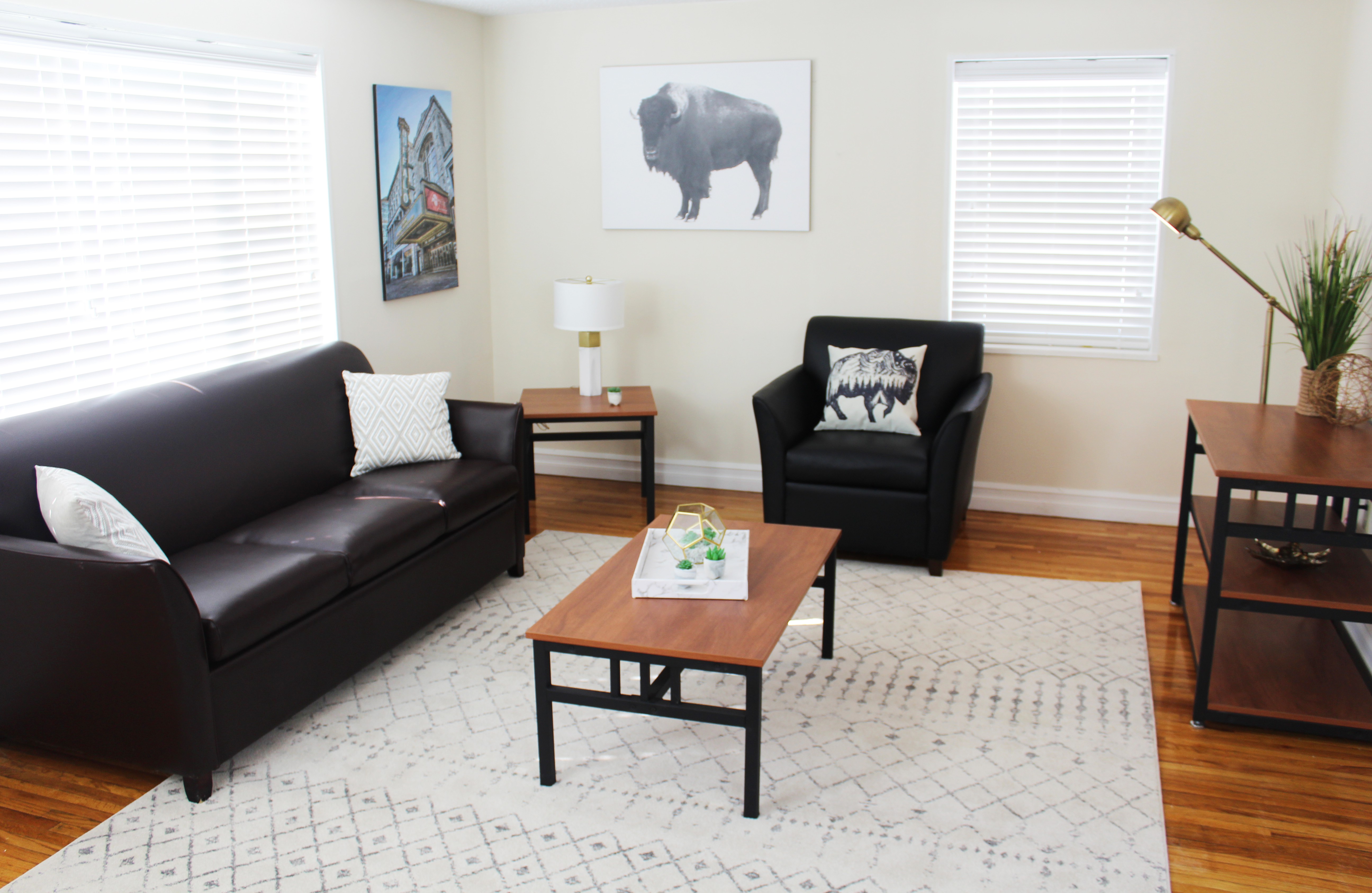 Daemen OffCampus Apartments College Rentals