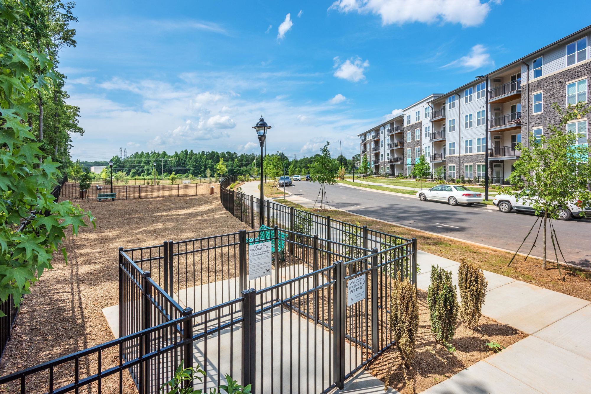 Blu at Northline, Charlotte - (see pics & AVAIL)