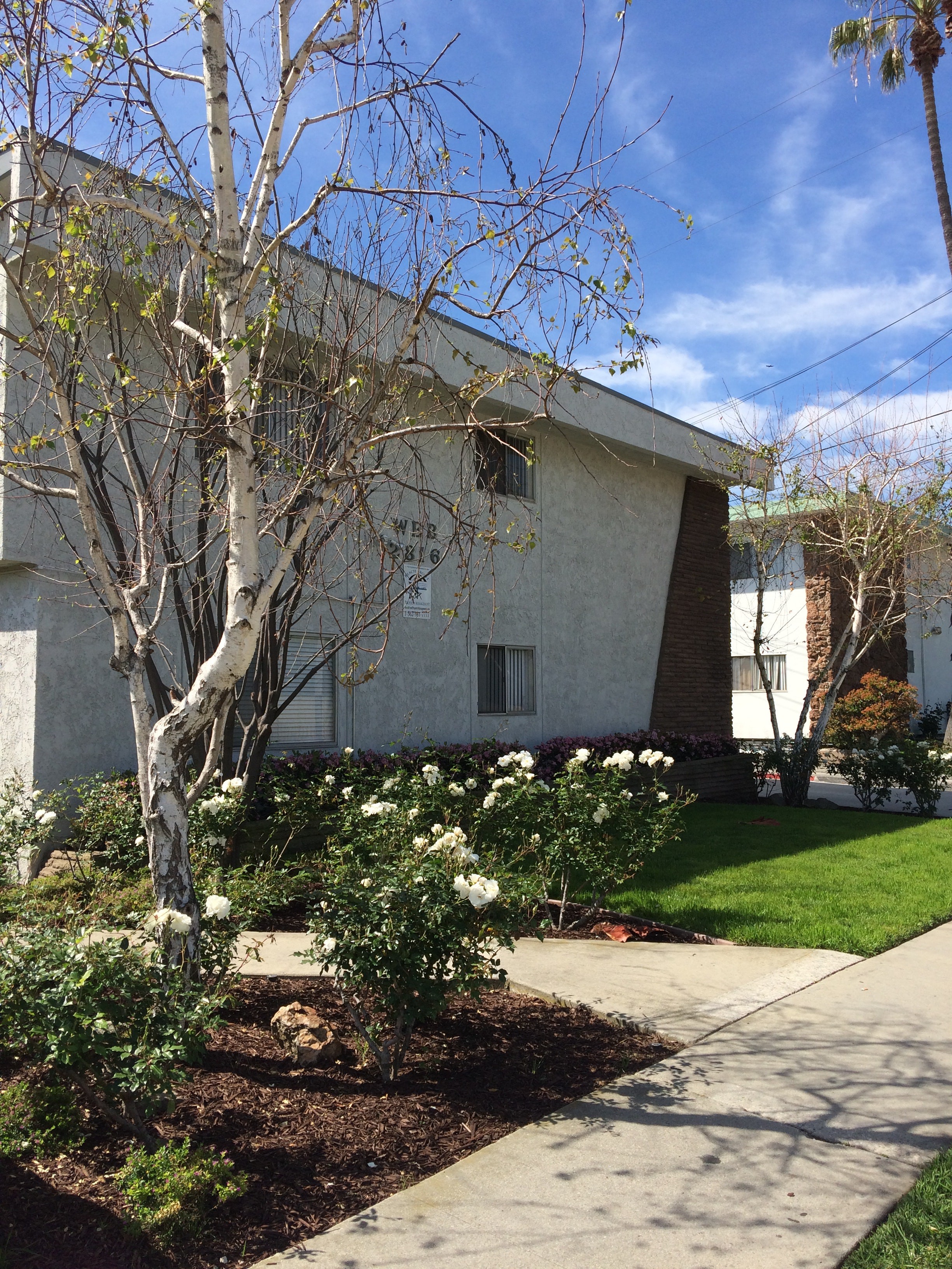 Long Beach Craigslist Rentals