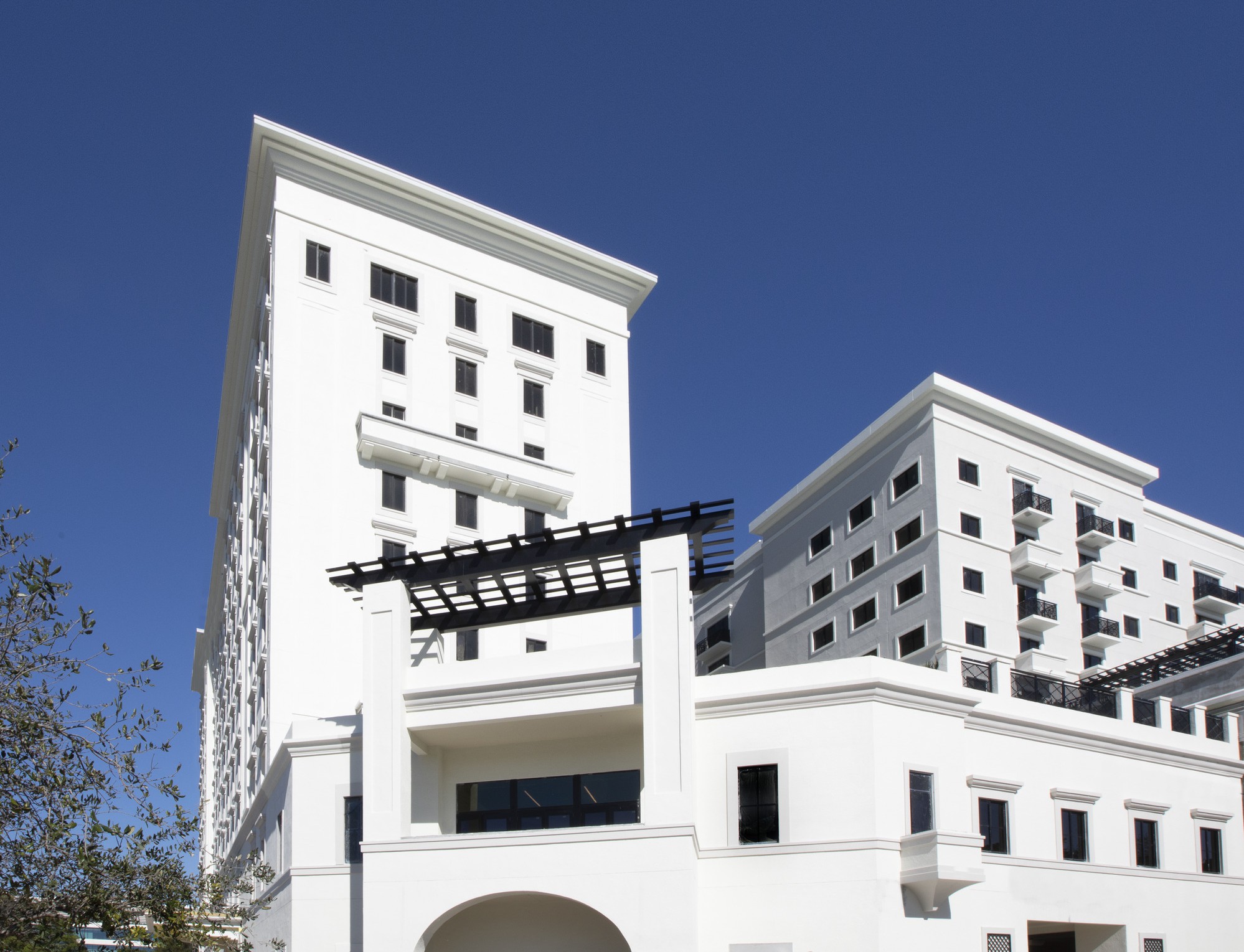 Is coral a plant picture