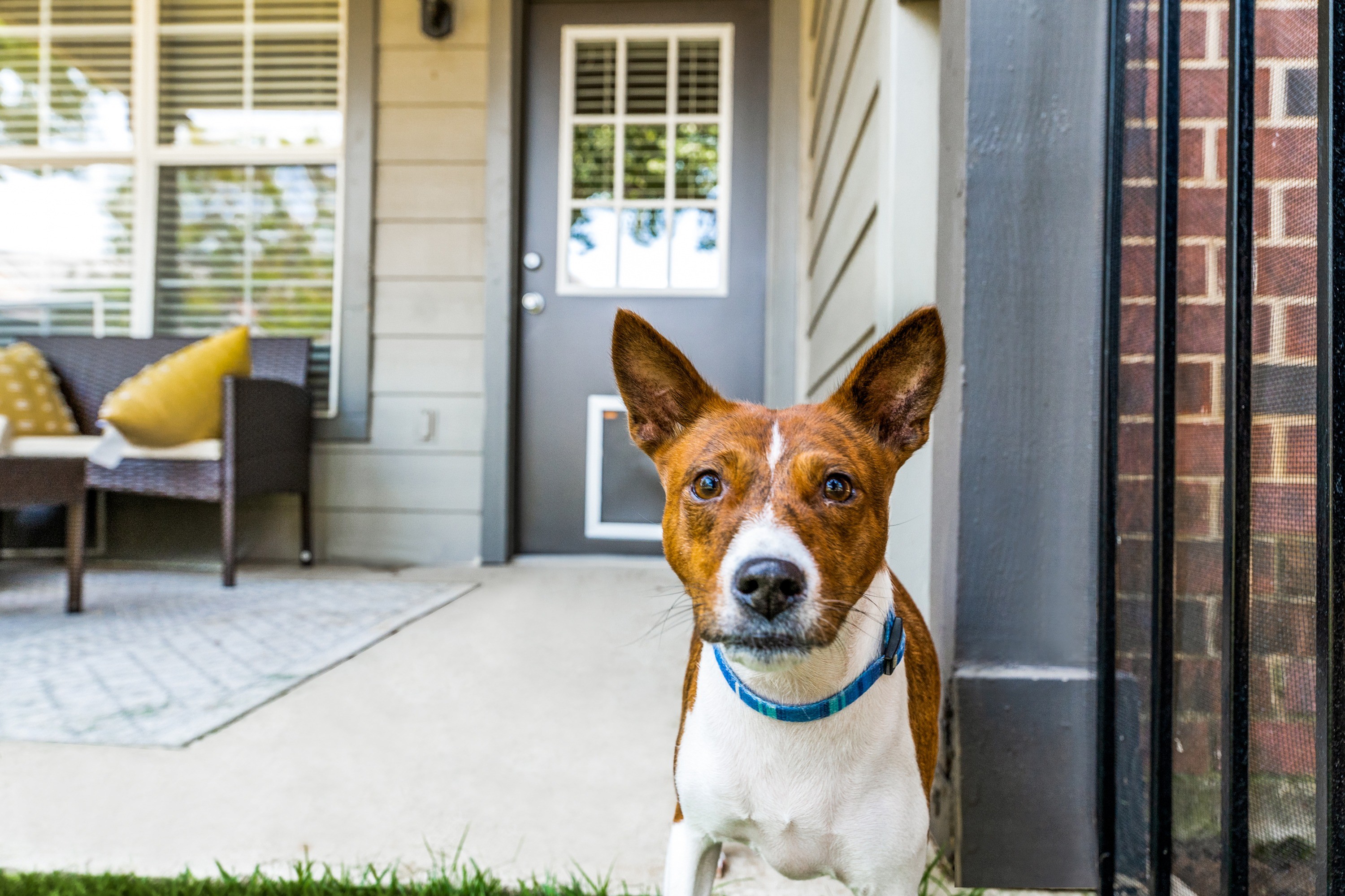 Parker Student Housing Finder CribWiz